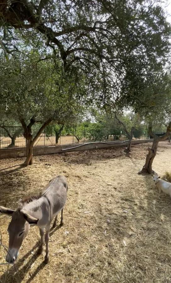 Casale Torre San Magno Βίλα Κοράτο Εξωτερικό φωτογραφία